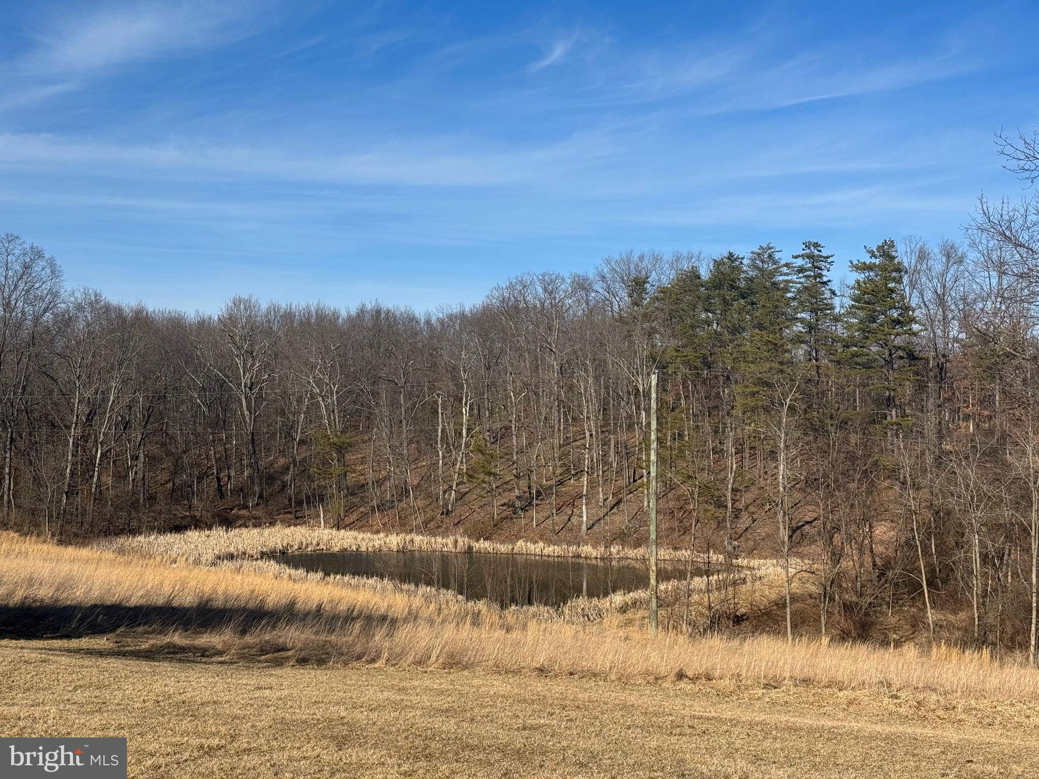 Cross Junction, VA 22625,700 BLOOMERY PIKE