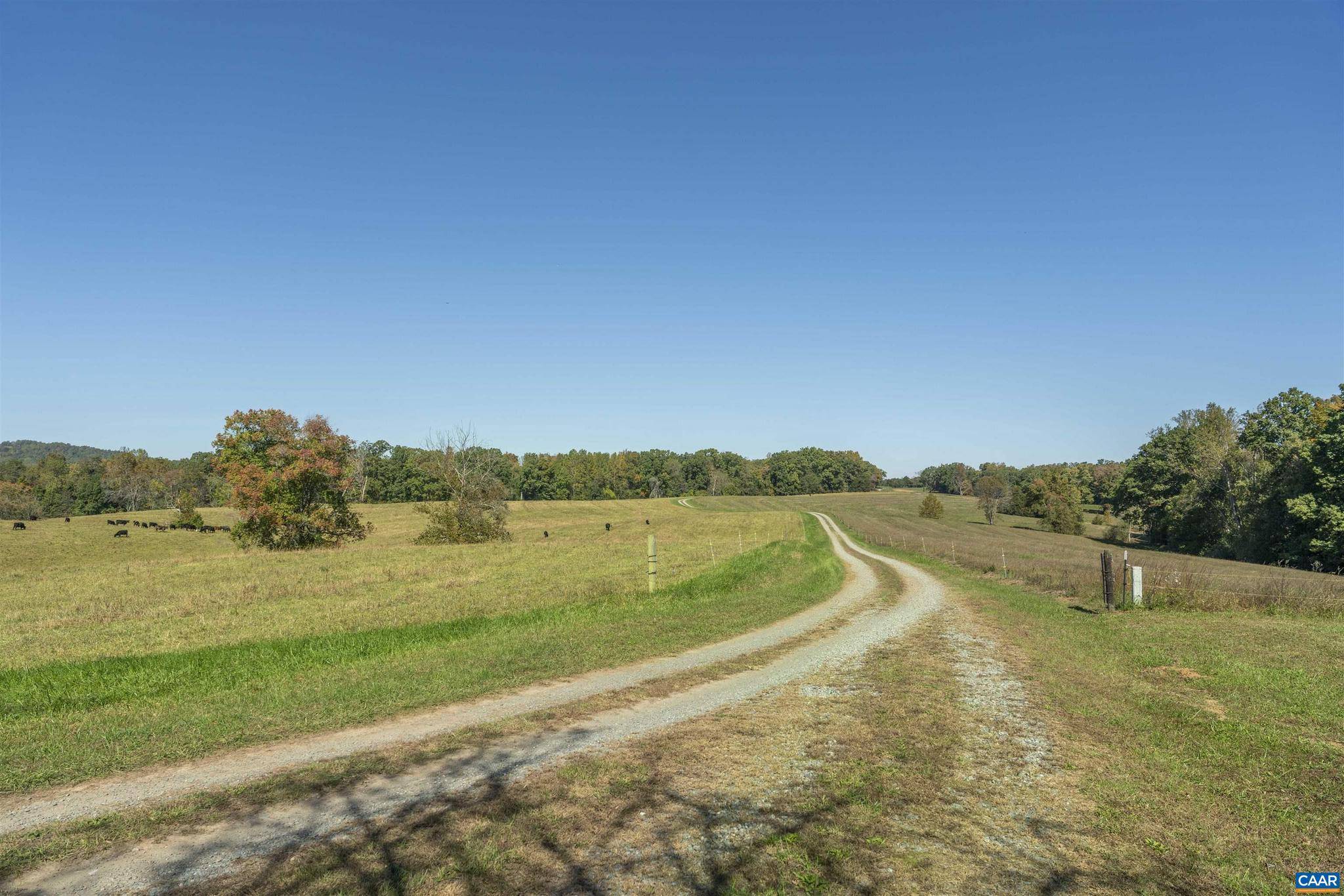 Gordonsville, VA 22942,14560 MADISON RUN RD