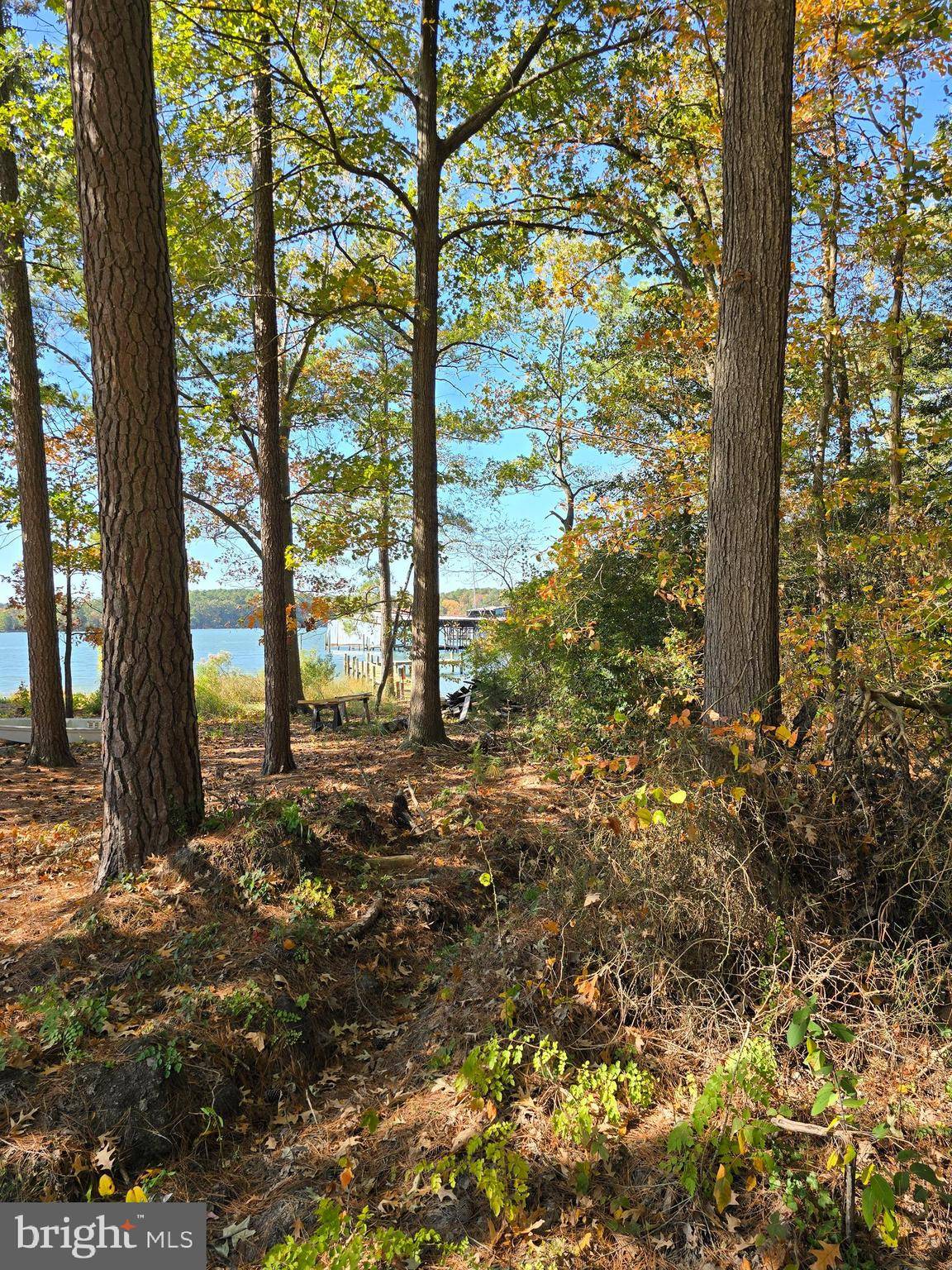 Kinsale, VA 22488,LOT #19 SHORE LN