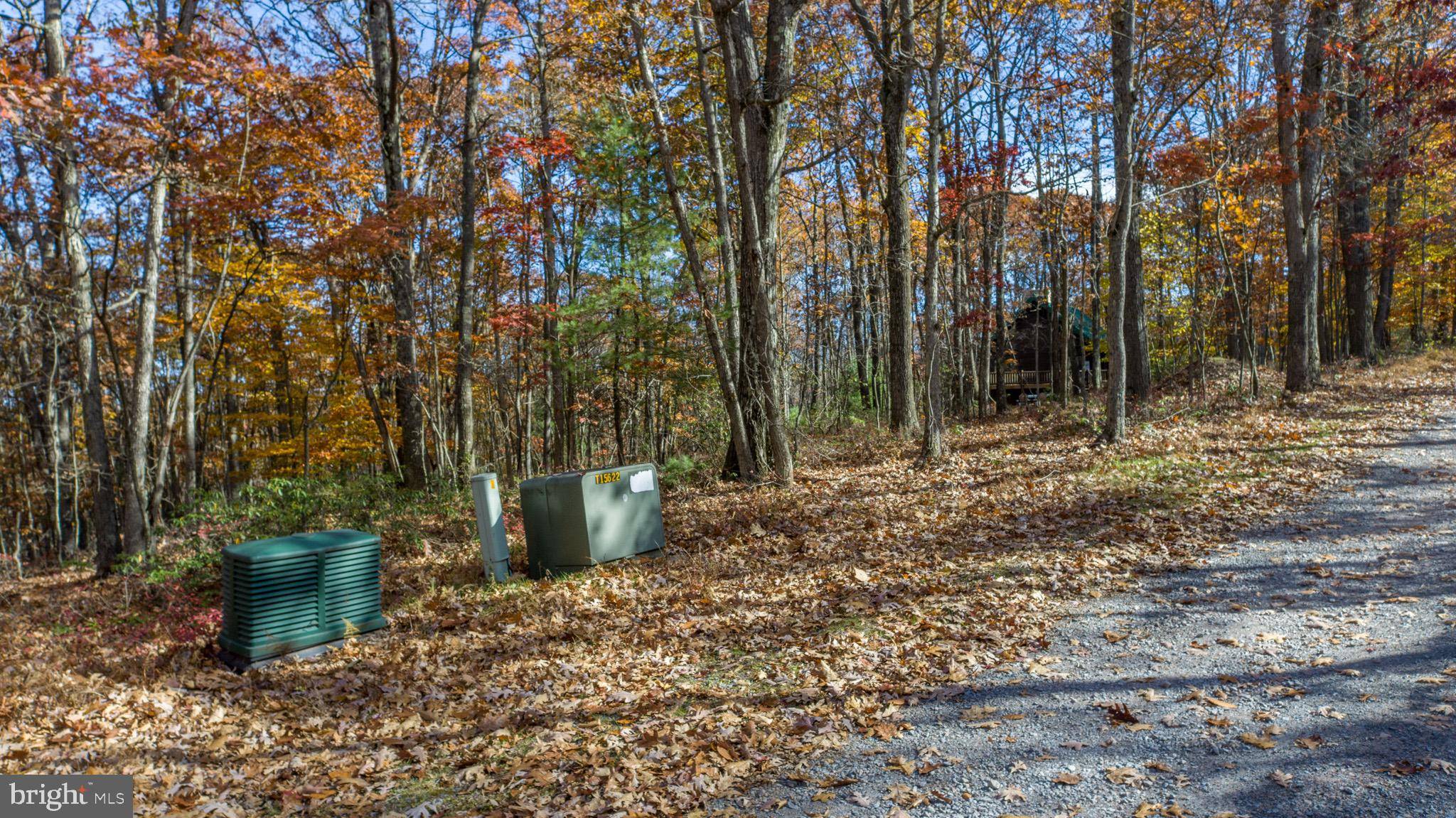 Swanton, MD 21561,LOT 15 BRACKEN DR