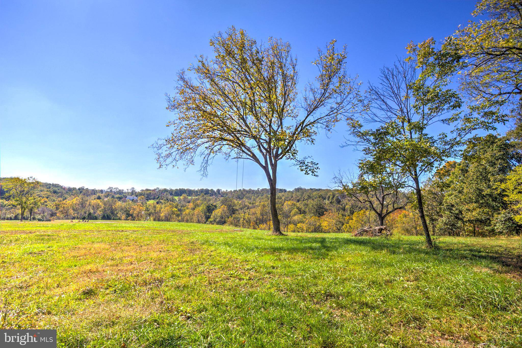 Paeonian Springs, VA 20129,41128 TROTTER LN