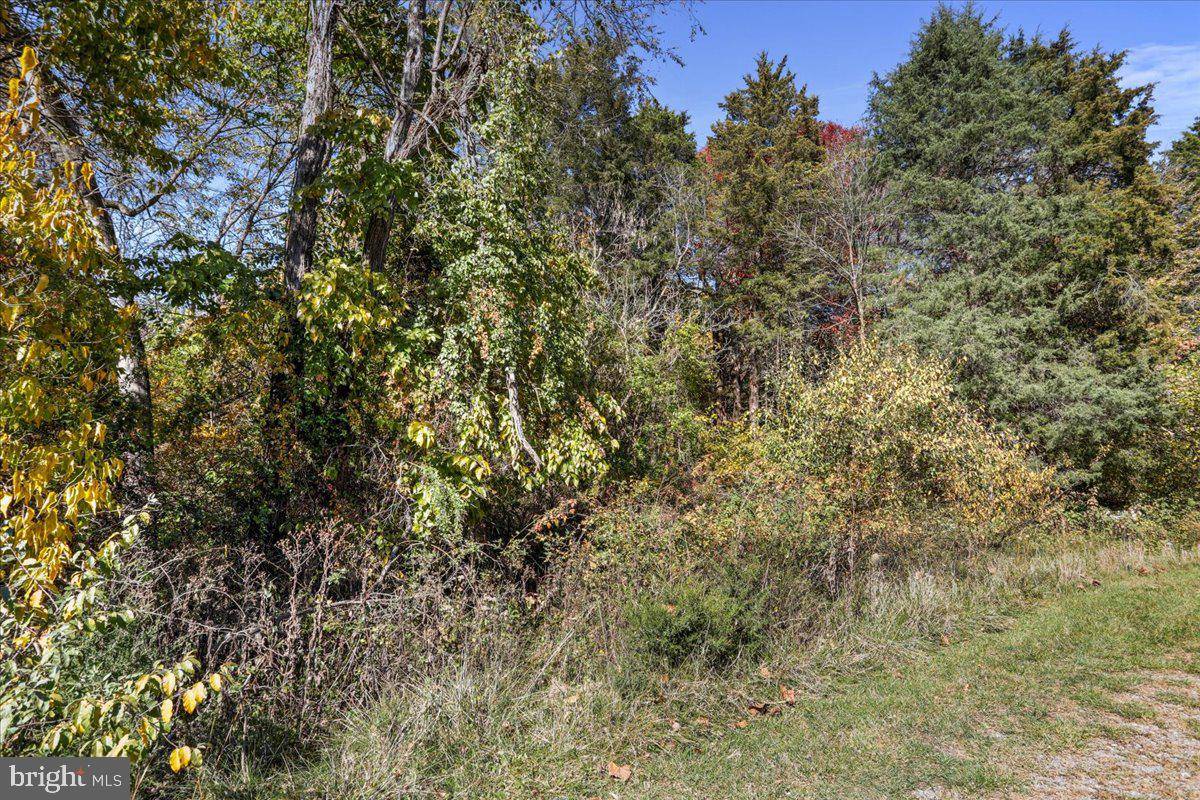 Shepherdstown, WV 25443,LOT 2 VALENTINE CT