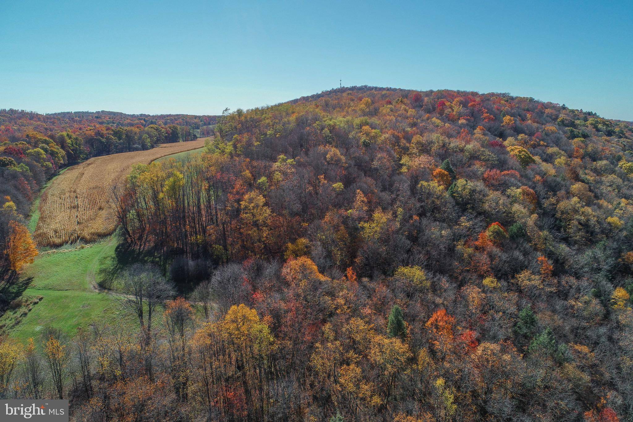 Grantsville, MD 21536,2527 PIGS EAR RD