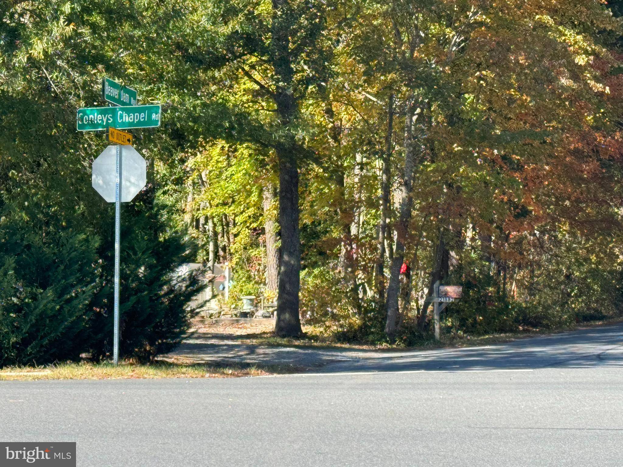 Lewes, DE 19958,LOT 5 BEAVER DAM WAY