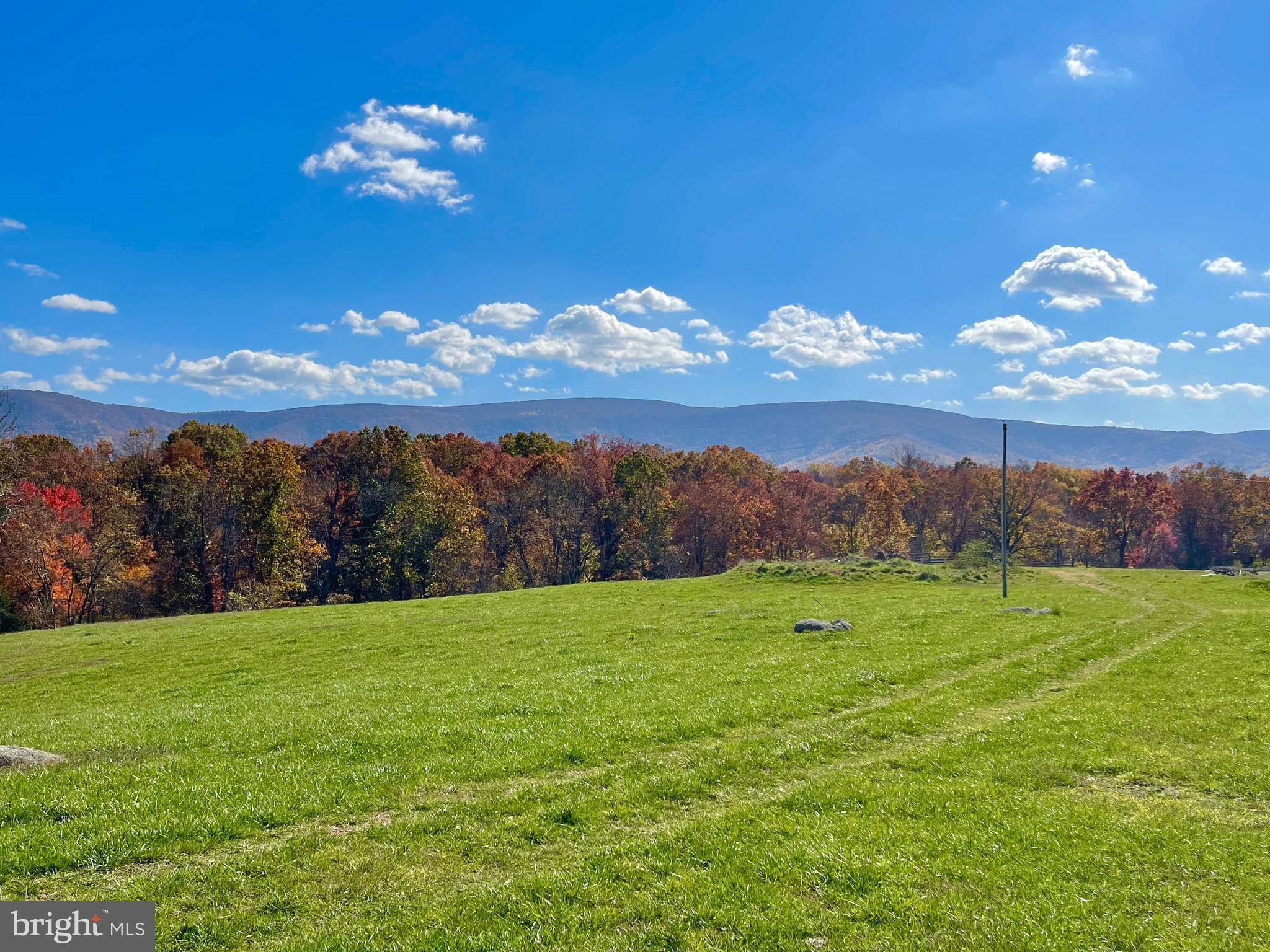 Bentonville, VA 22610,3.7 AC BUCK MOUNTAIN RD