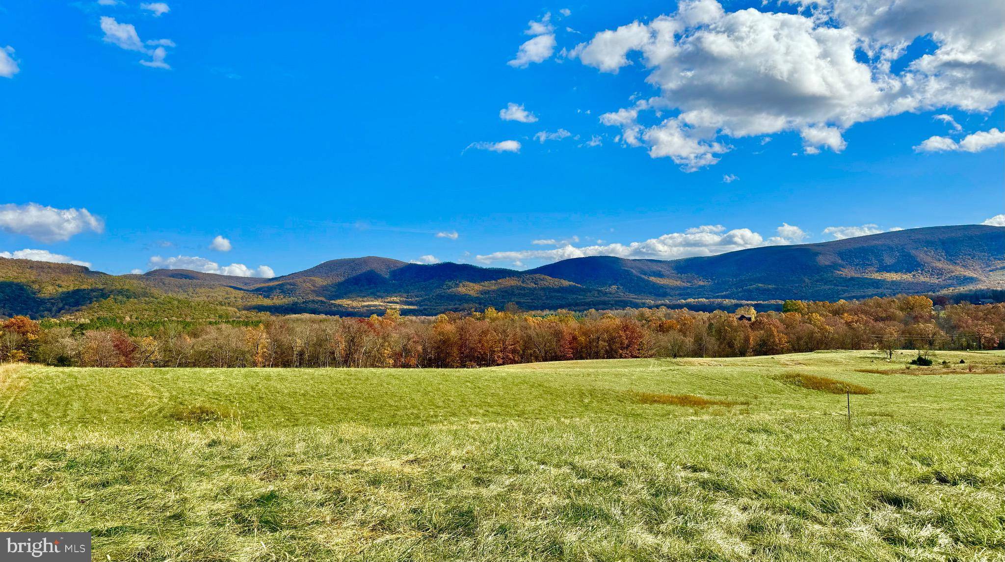 Bentonville, VA 22610,10 AC BUCK MOUNTAIN RD