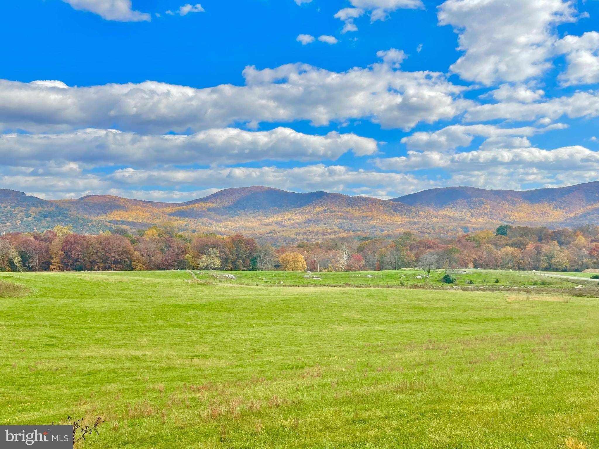 Bentonville, VA 22610,10 AC BUCK MOUNTAIN RD