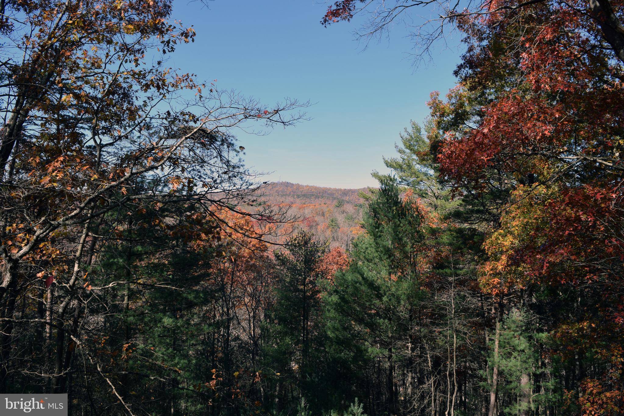 Capon Bridge, WV 26711,233 HIGH CLIFF RD