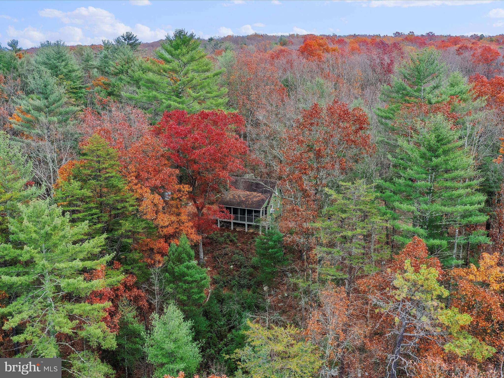 Capon Bridge, WV 26711,233 HIGH CLIFF RD