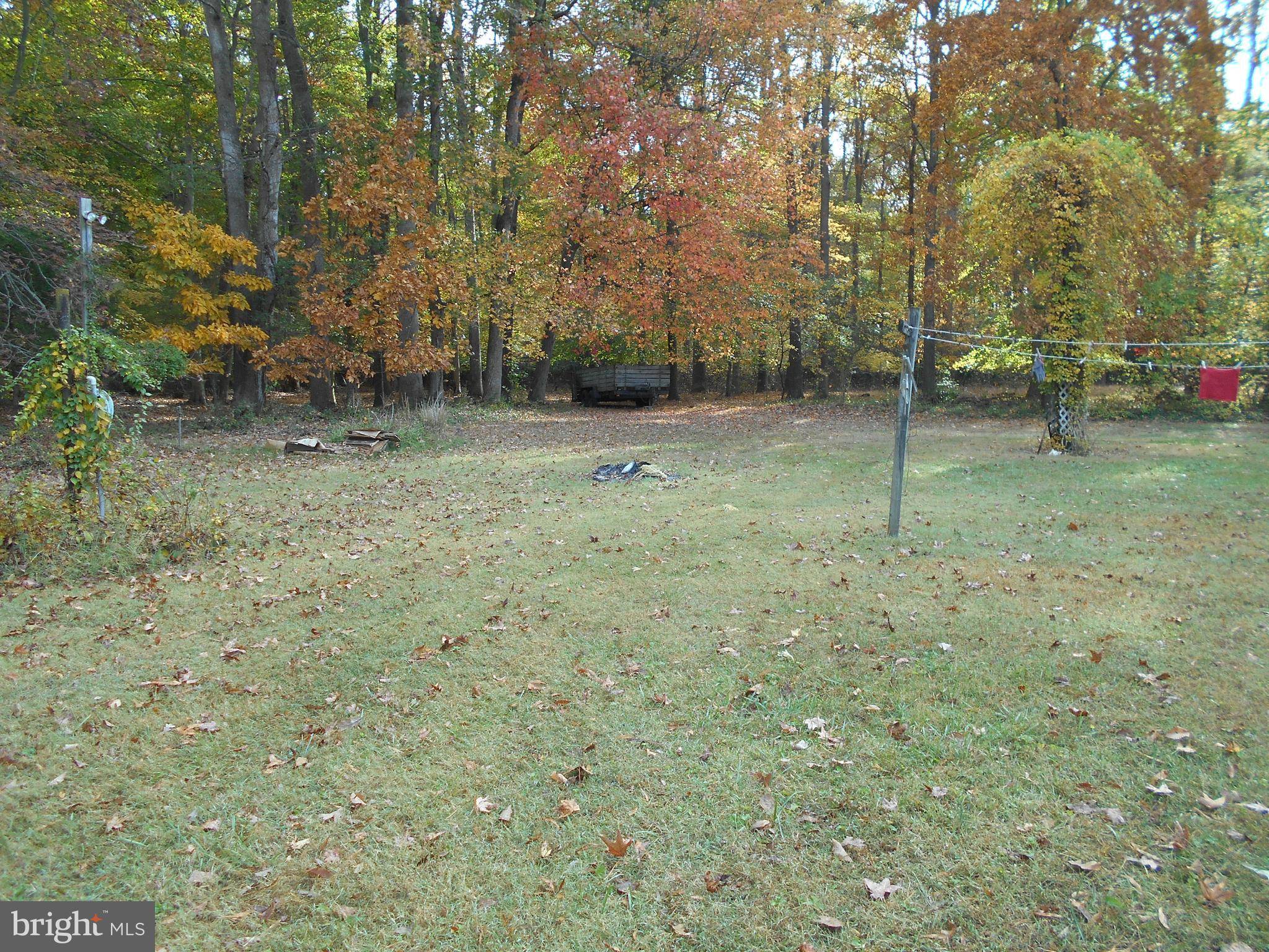 Denton, MD 21629,8197 DETOUR RD