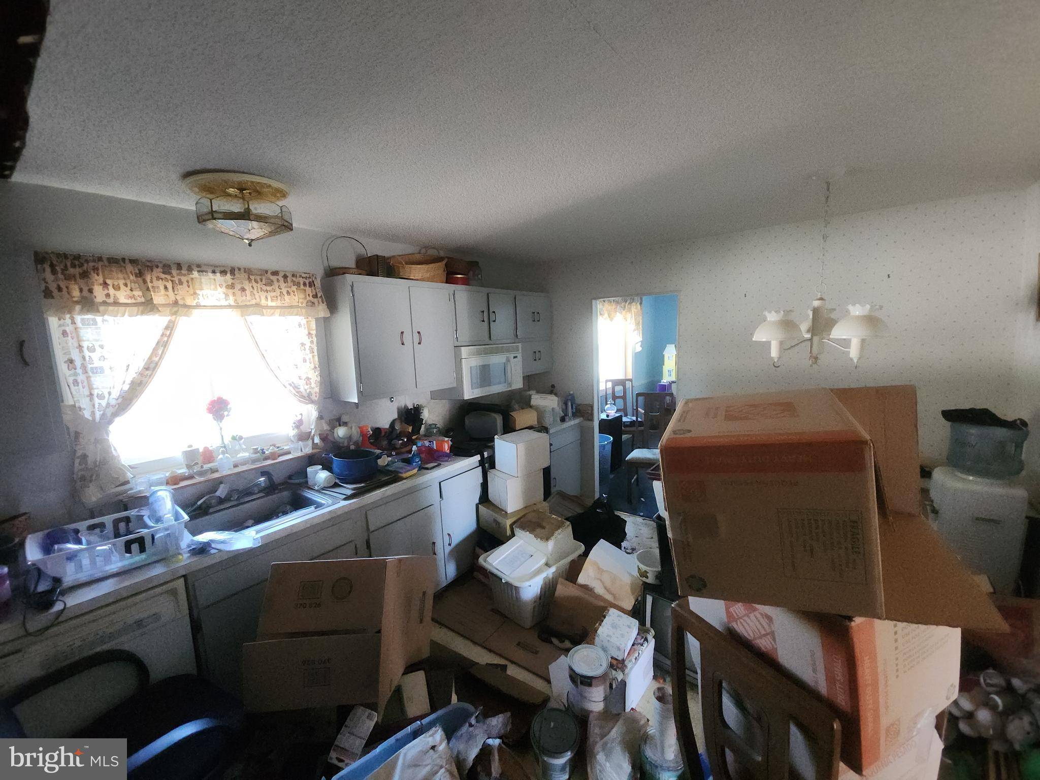 Newark, DE 19713,108 EDJIL DR