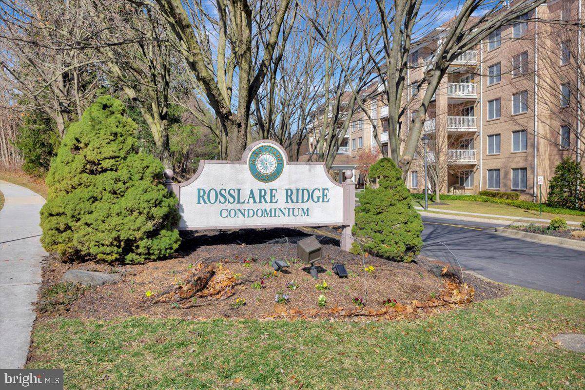 Lutherville Timonium, MD 21093,12320 ROSSLARE RIDGE RD #204