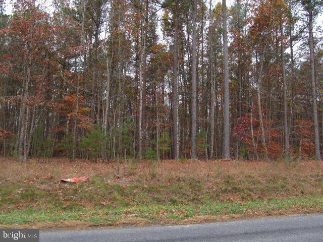 Locust Grove, VA 22508,0 INDIANTOWN RD