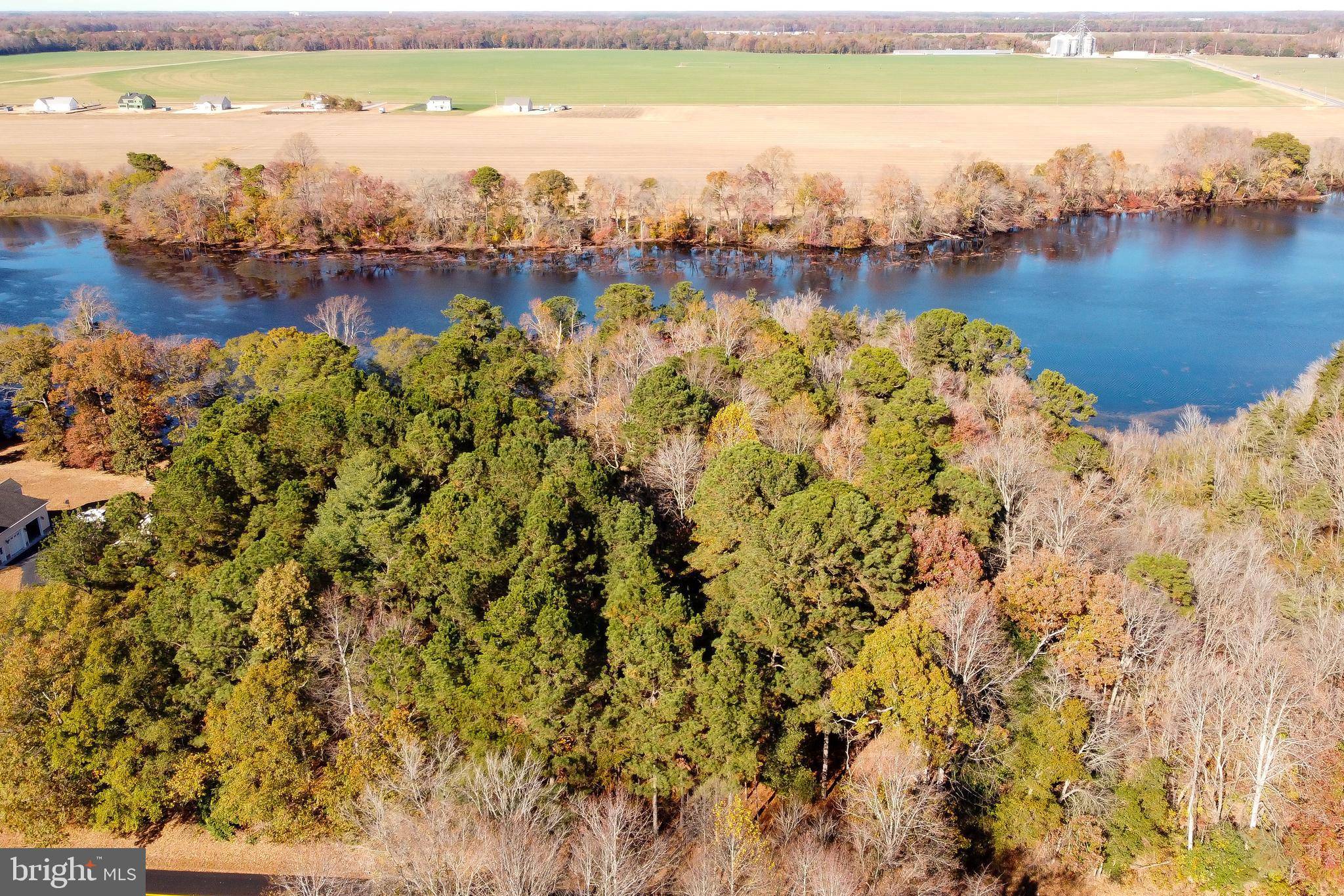 Ellendale, DE 19947,LOT 4 REYNOLDS POND RD