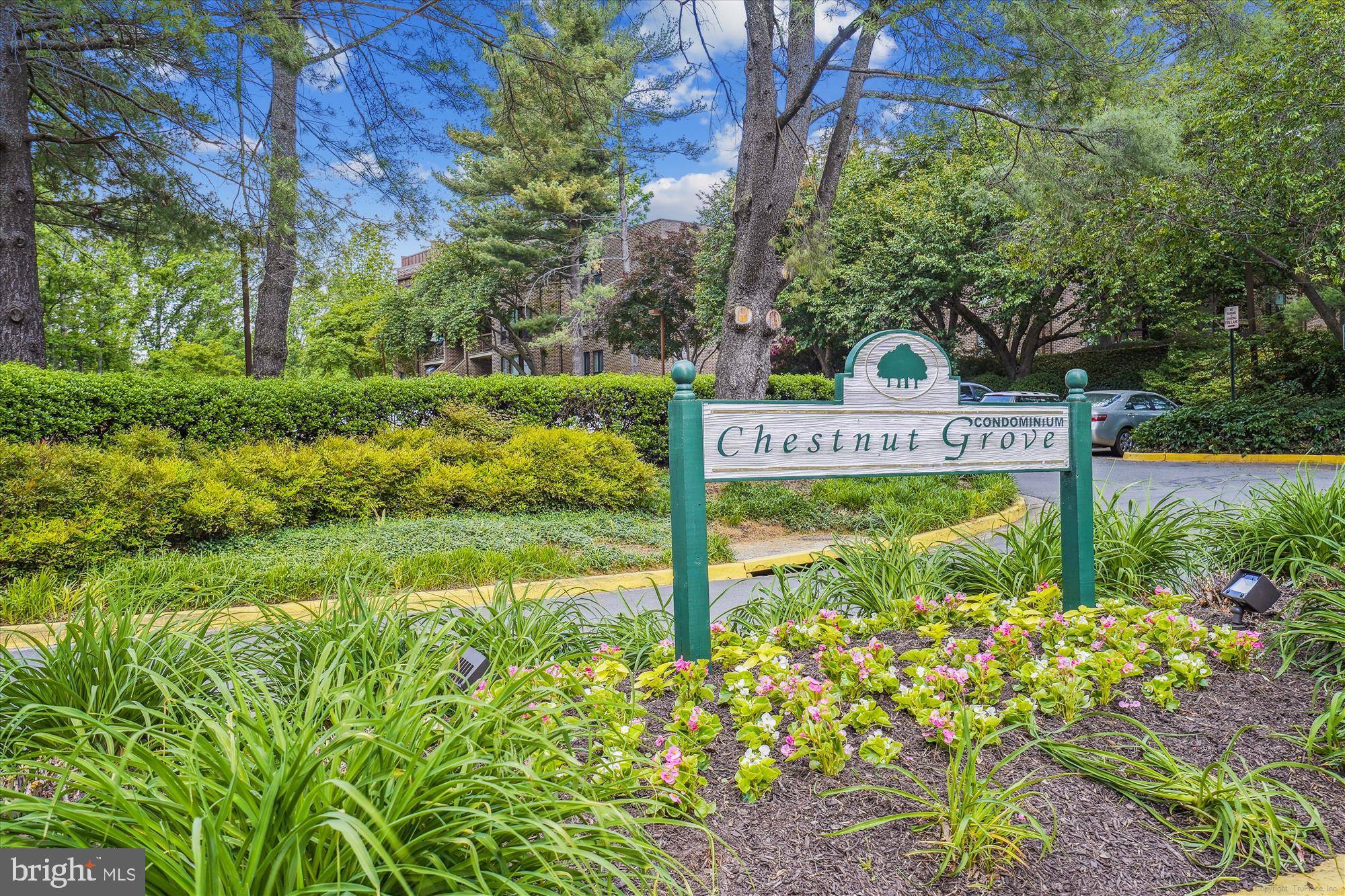 Reston, VA 20190,11224 CHESTNUT GROVE SQ #11224-125