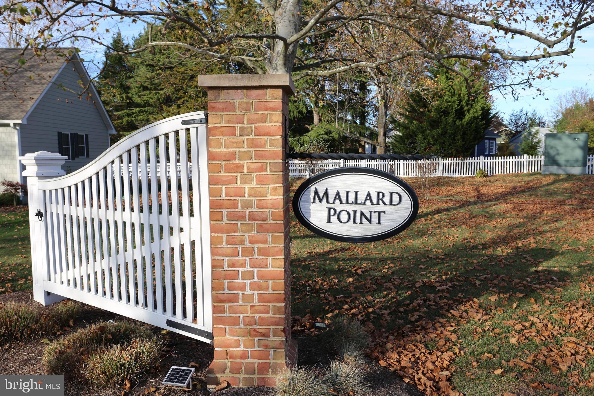 Lewes, DE 19958,LOT 29 BAYARD LANE