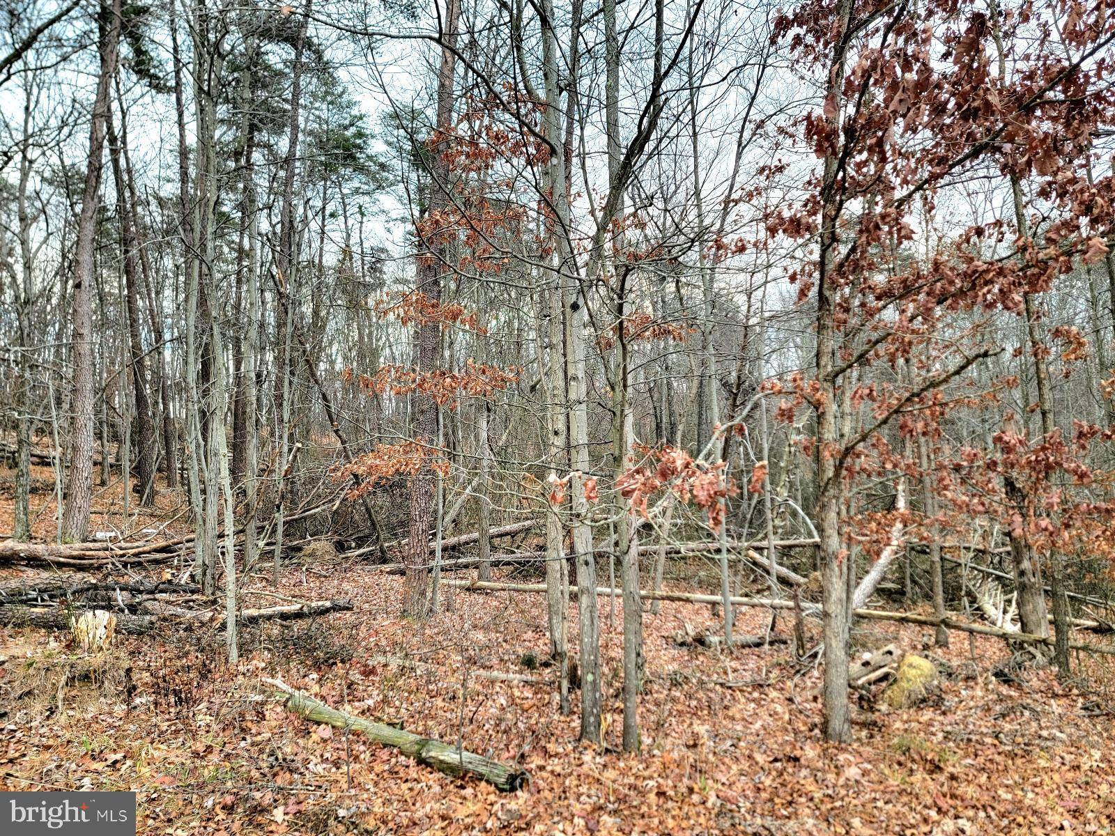 Berkeley Springs, WV 25411,LOT 33 CIRCLING HAWK LN