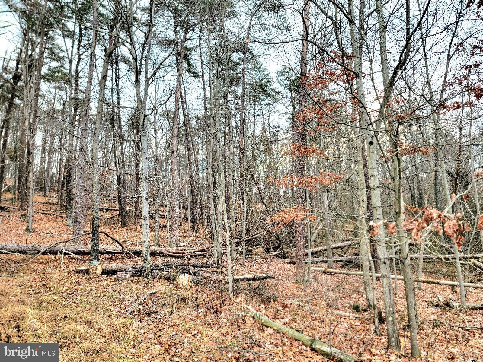 Berkeley Springs, WV 25411,LOT 33 CIRCLING HAWK LN