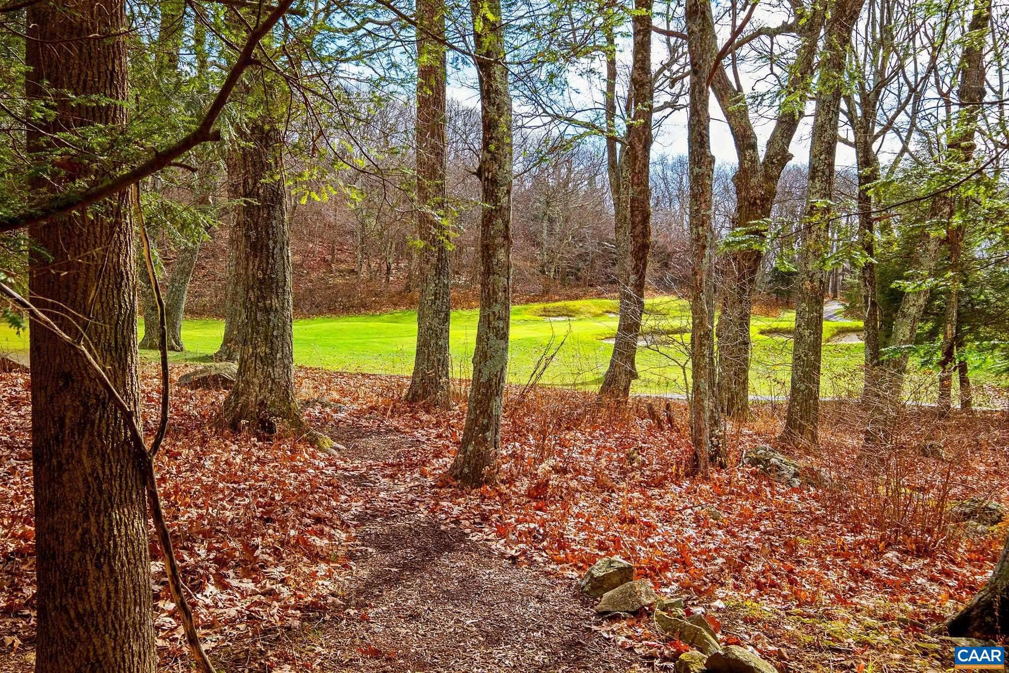 Wintergreen Resort, VA 22967,315 DEVILS KNOB LOOP