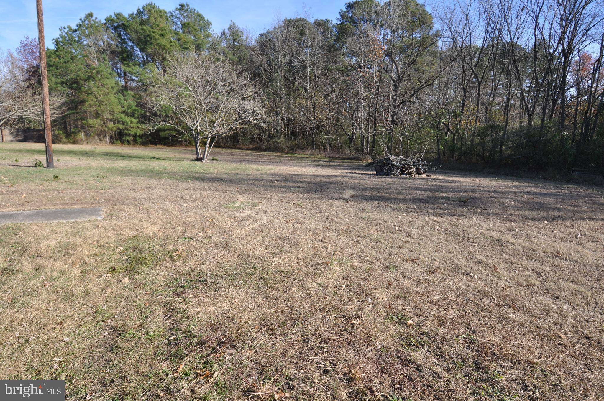 Pocomoke City, MD 21851,1530 UNIONVILLE RD