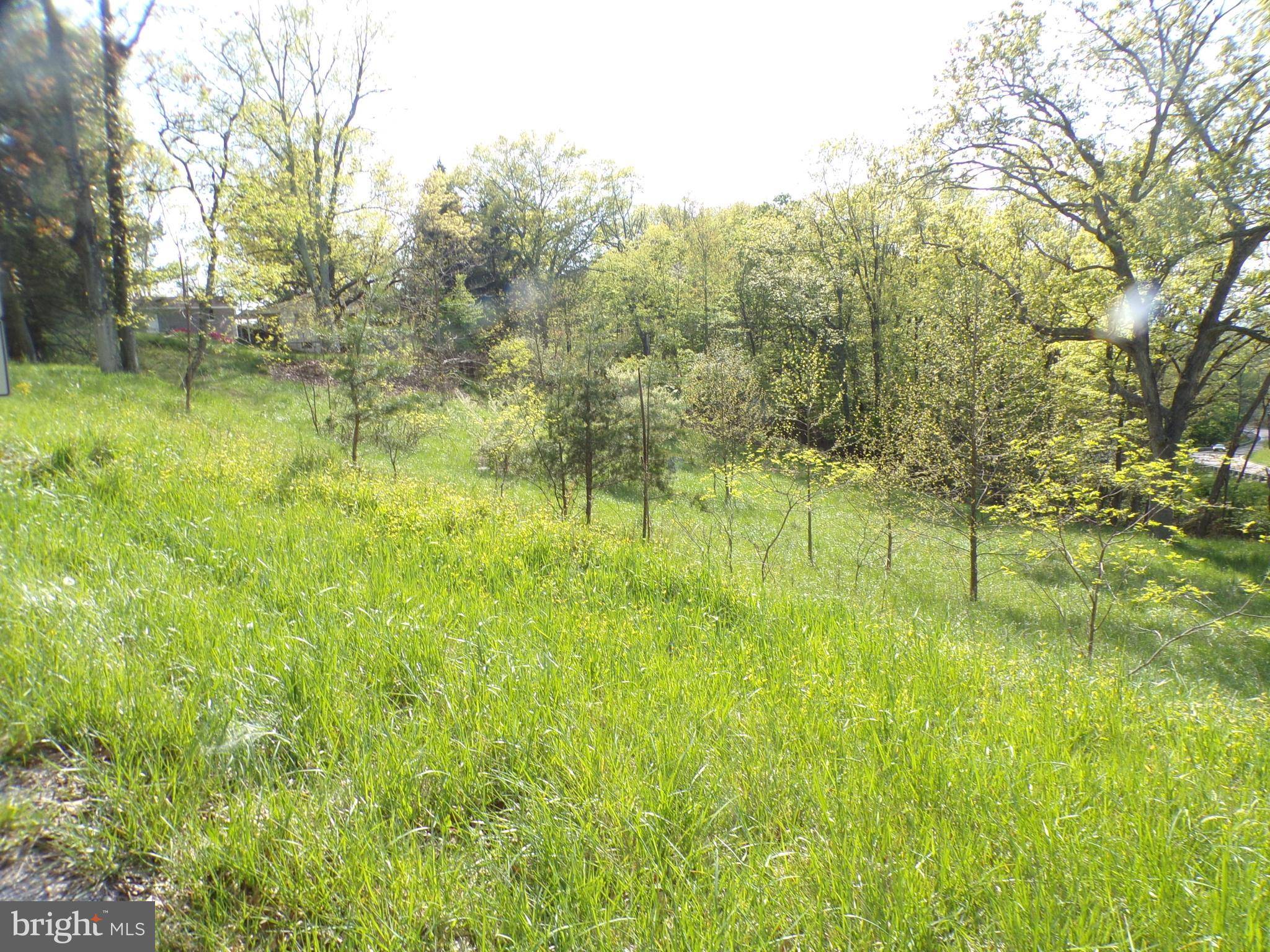 Oldtown, MD 21555,BUCKLEY RD