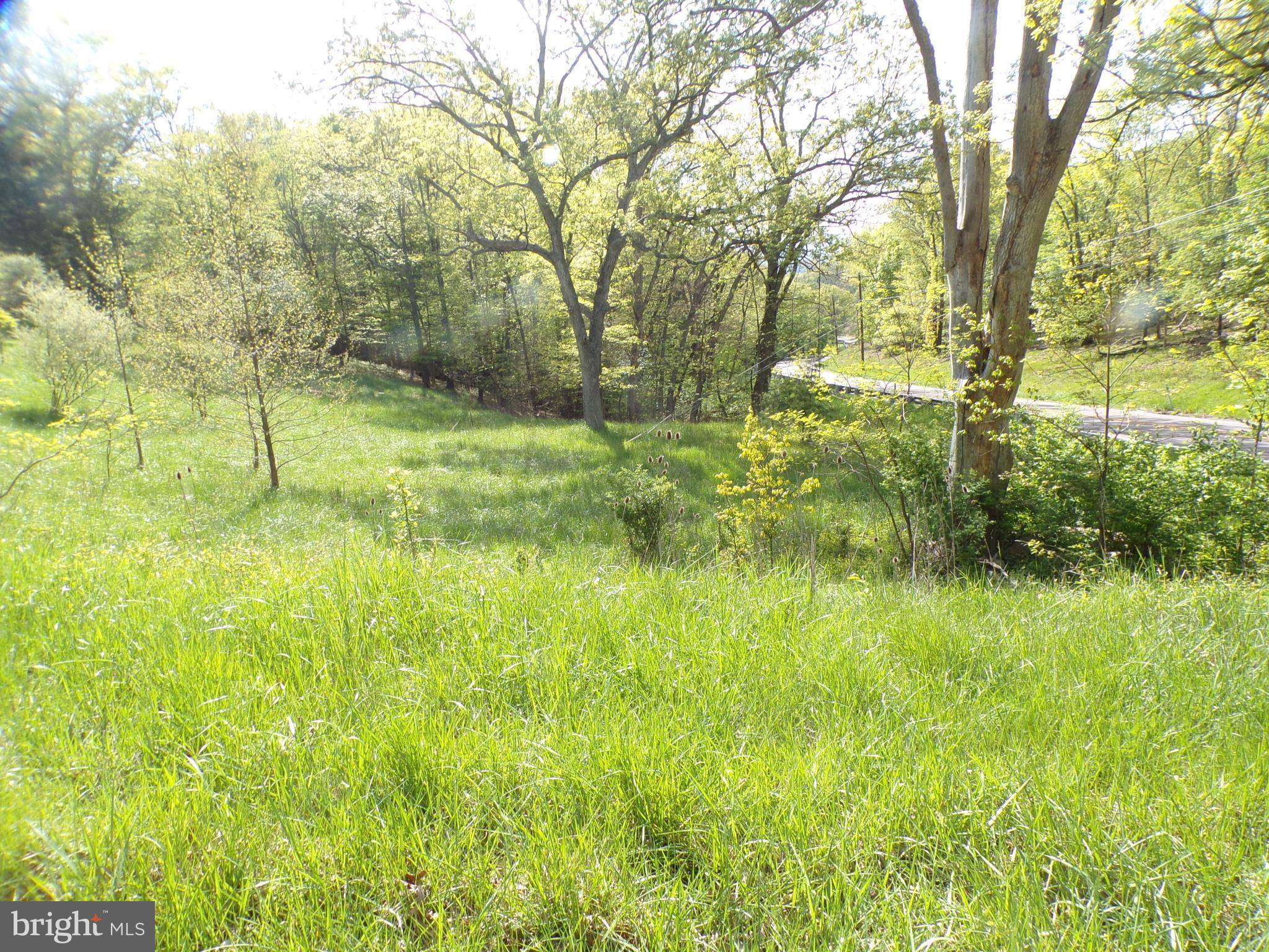 Oldtown, MD 21555,BUCKLEY RD