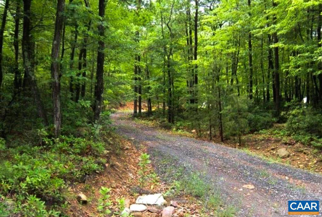 Winchester, VA 22602,NONE GREAT NORTH MOUNTAIN DR #8030330