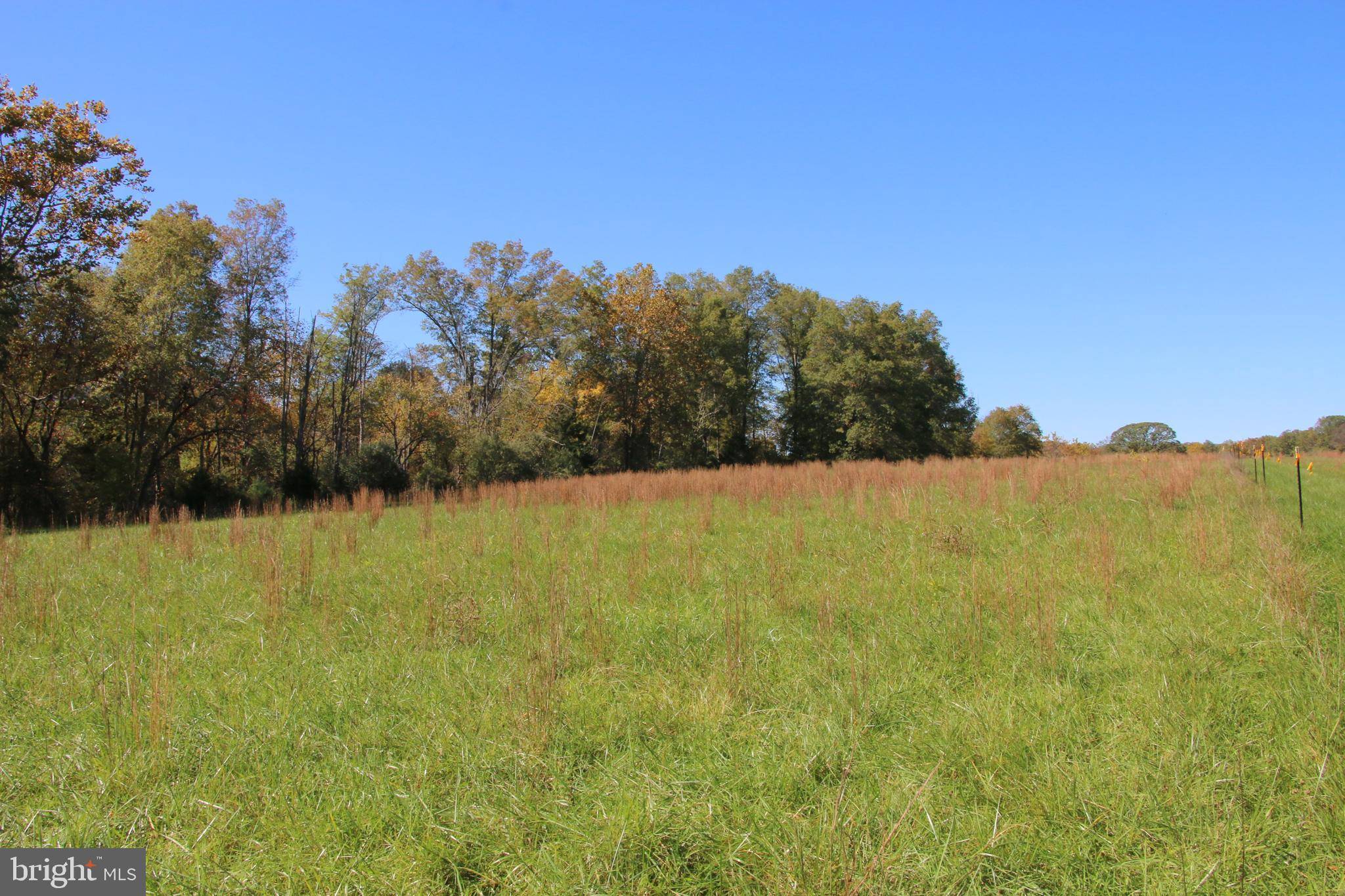 Strasburg, VA 22657,SADLICK LOT S RD