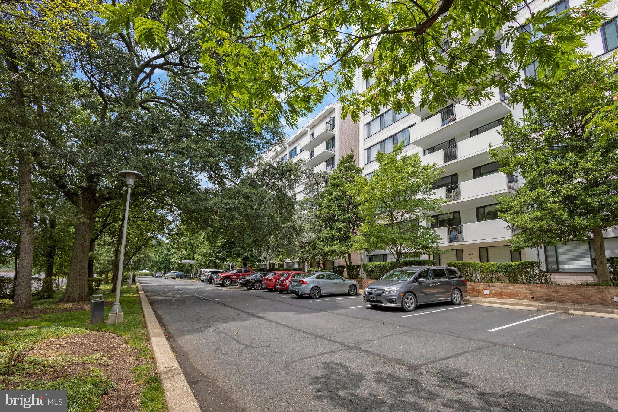 Arlington, VA 22203,4501 ARLINGTON BLVD #502
