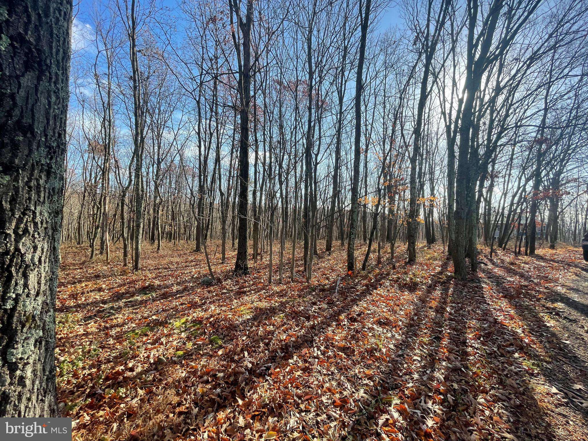 Albrightsville, PA 18210,0 STONE RIDGE RD #LOT 27