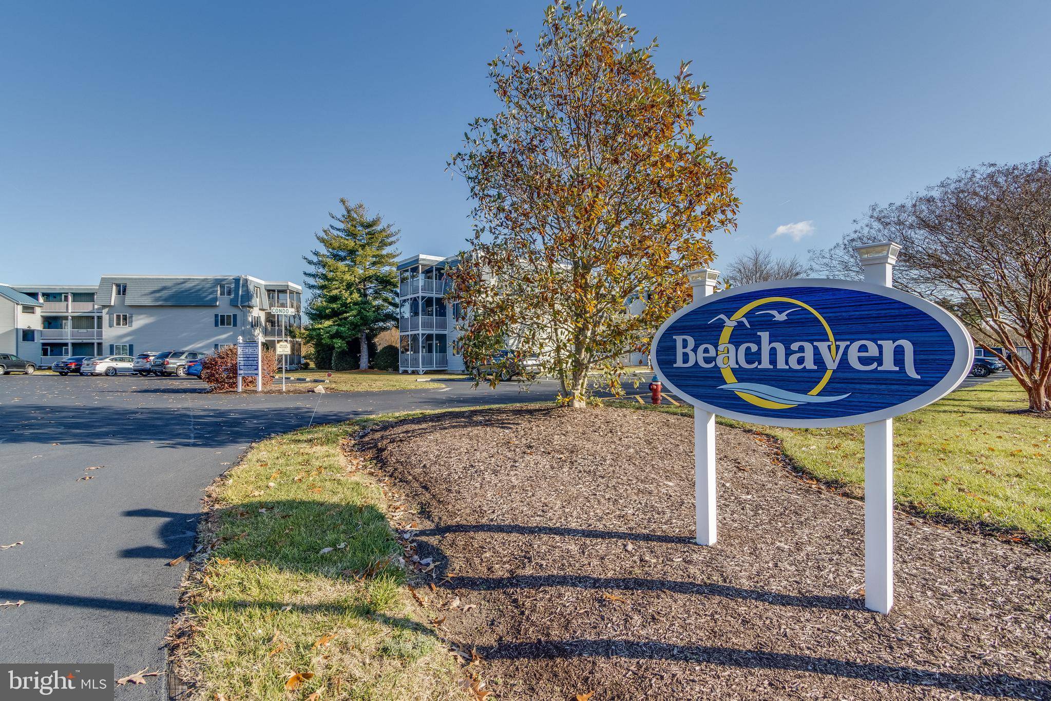 Rehoboth Beach, DE 19971,35979 CONDO DR #B202