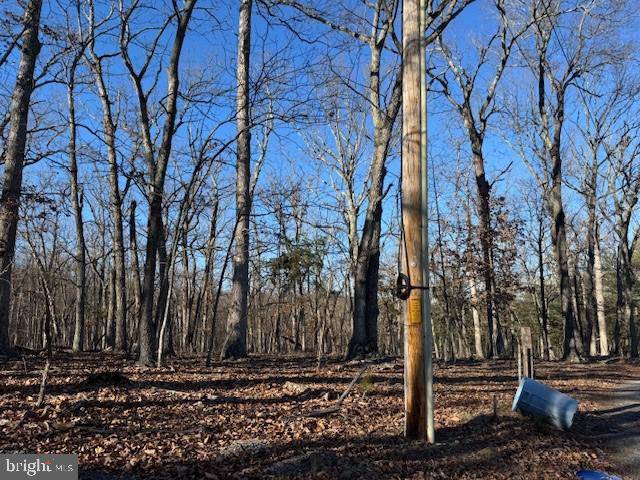 Berkeley Springs, WV 25411,LOT 4 TURKEY RIDGE LN