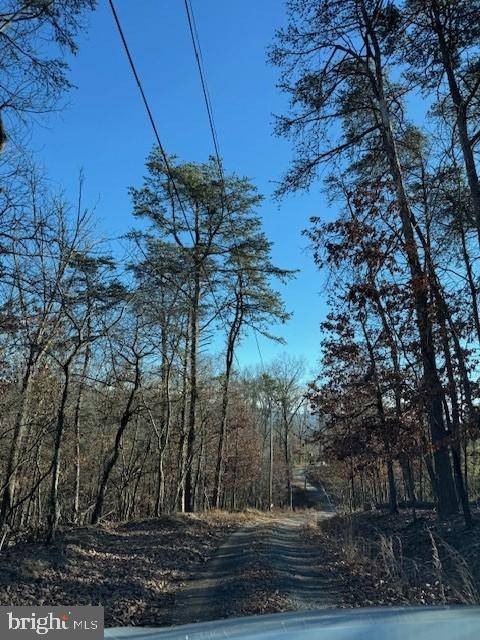 Berkeley Springs, WV 25411,LOT 4 TURKEY RIDGE LN