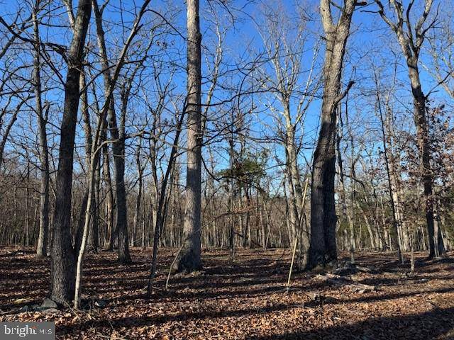 Berkeley Springs, WV 25411,LOT 4 TURKEY RIDGE LN