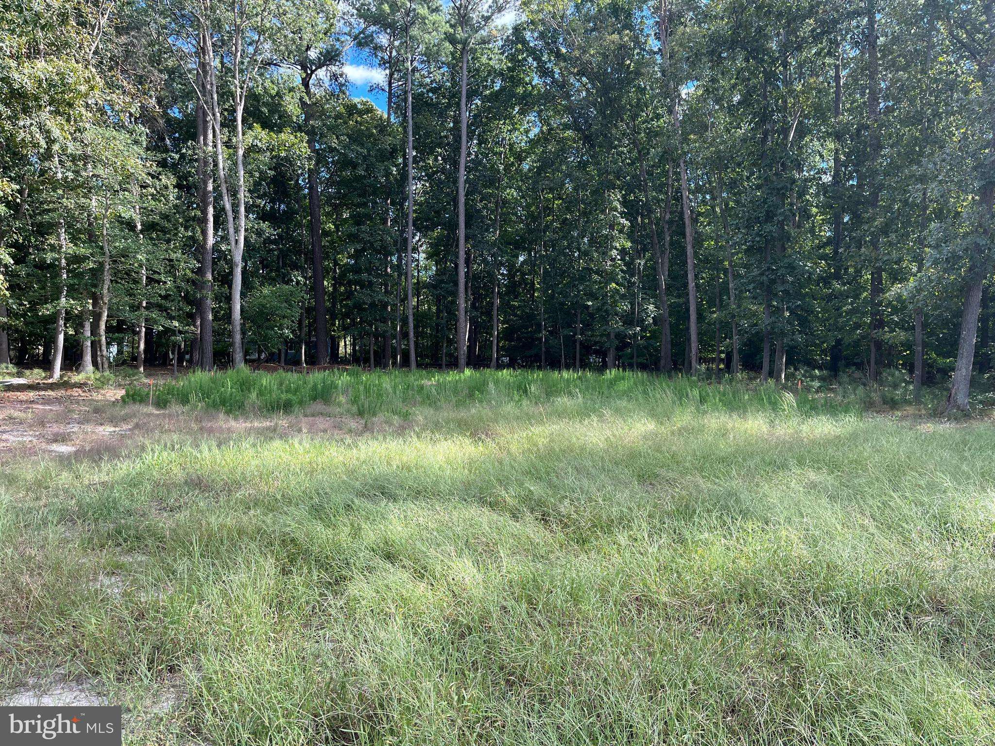 Millsboro, DE 19966,HERSHEL DAVIS RD