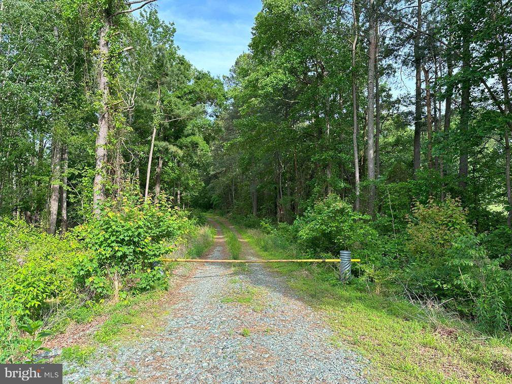 Palmyra, VA 22963,HADEN MARTIN ROAD