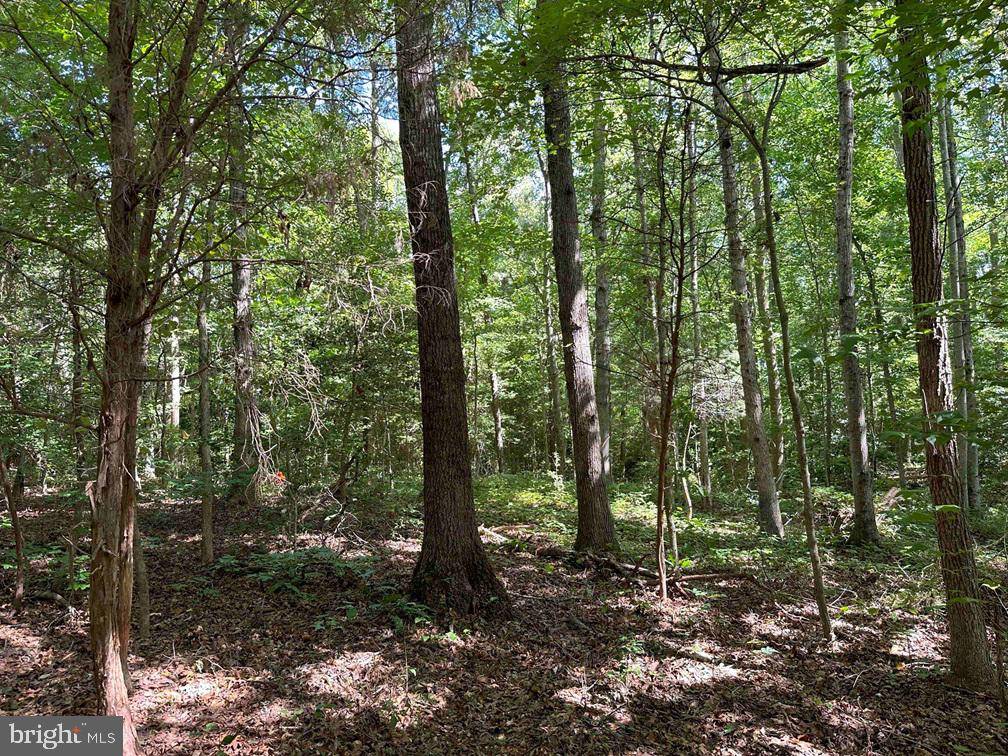 Hustle, VA 22476,ROSE MT ROAD (TRACT: ROSE MOUNT-1)