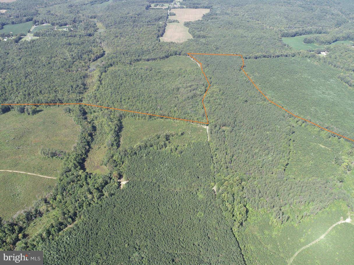 Hustle, VA 22476,ROSE MT. ROAD (TRACT: ROSE MOUNT-2)