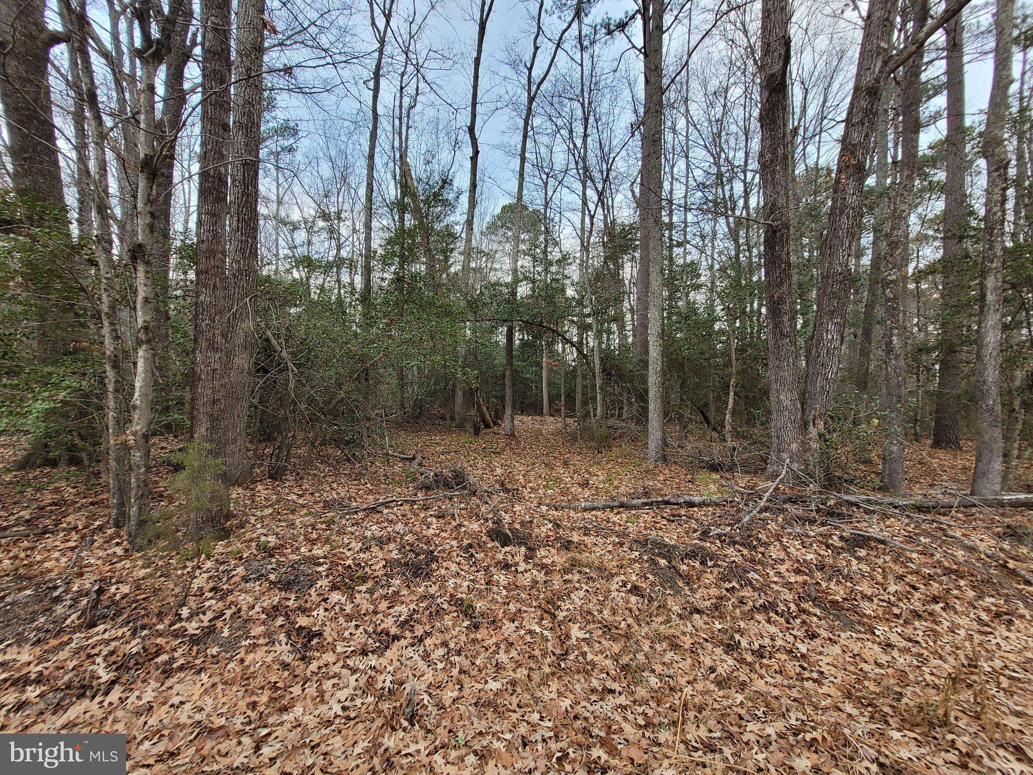 Colonial Beach, VA 22443,LOT 33 WILDWOOD RD