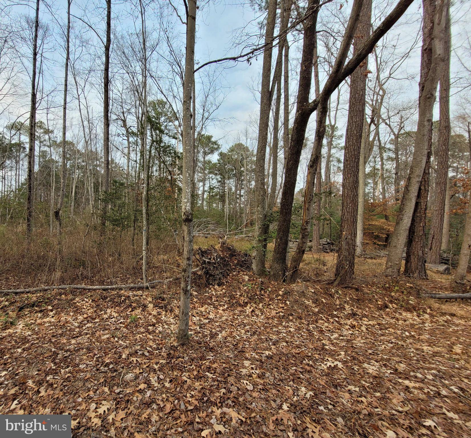 Colonial Beach, VA 22443,LOT 13 SHOREWOOD DRIVE