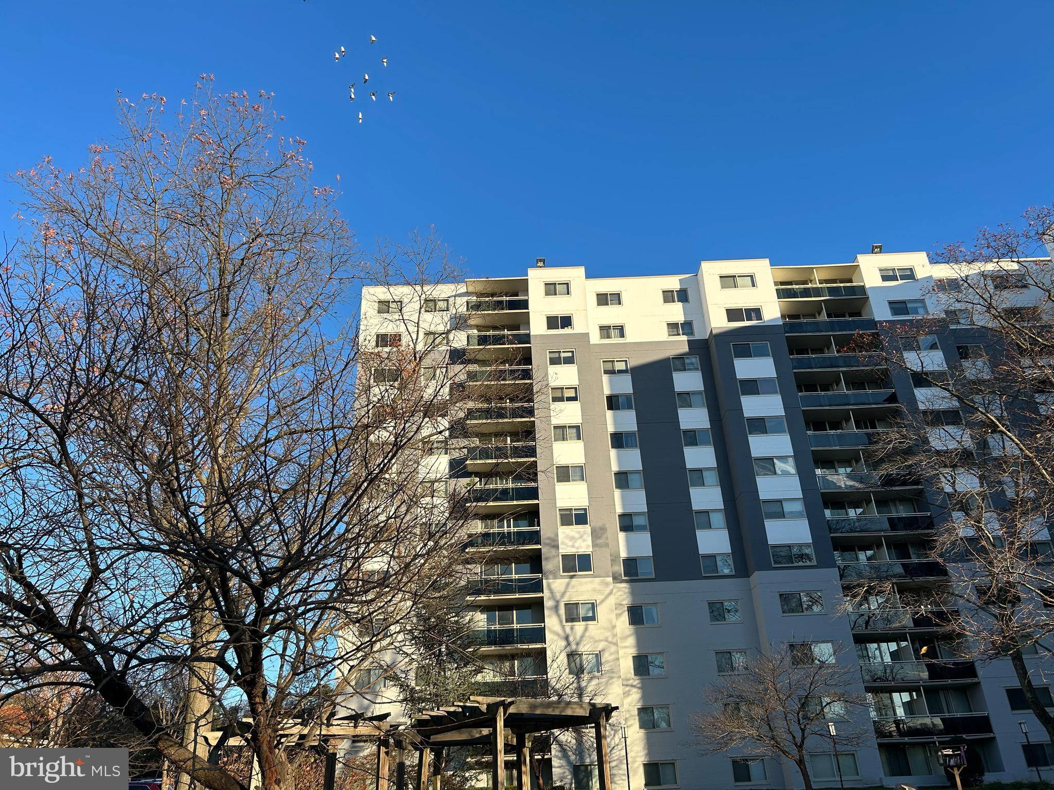 Takoma Park, MD 20912,7333 NEW HAMPSHIRE AVE #1107-N