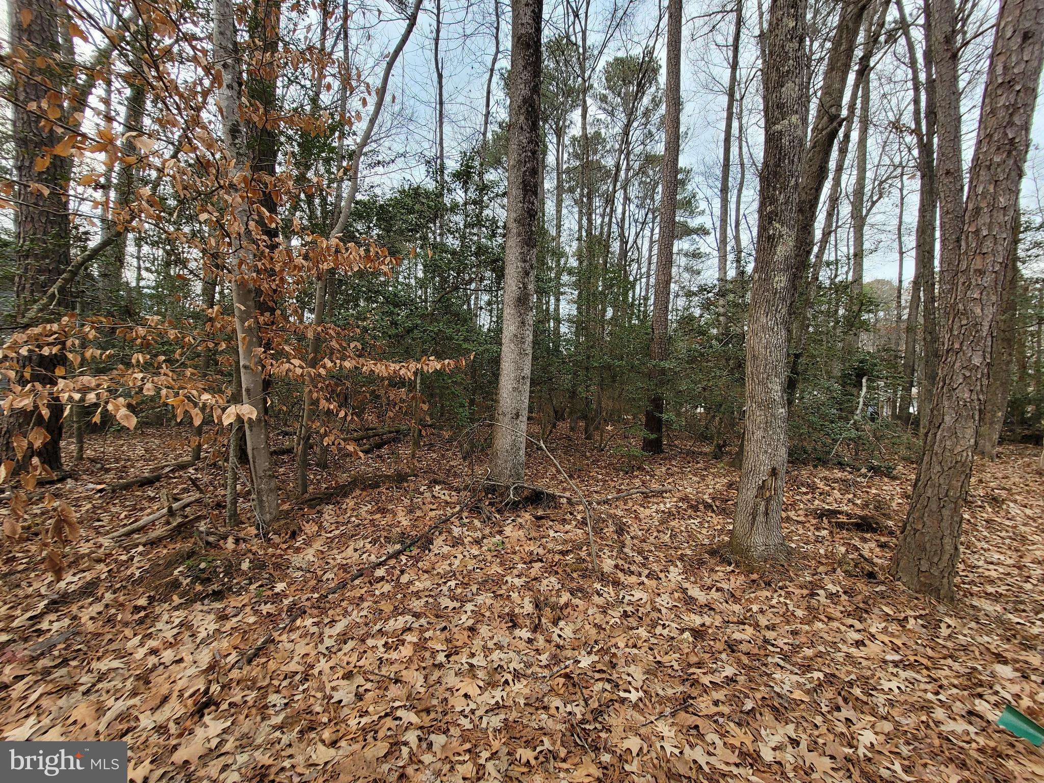 Colonial Beach, VA 22443,LOT 23 SHOREWOOD DRIVE