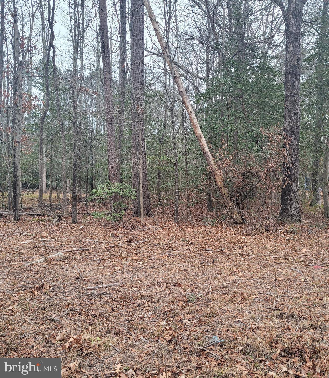 Colonial Beach, VA 22443,LOT 17 AZALEA WAY