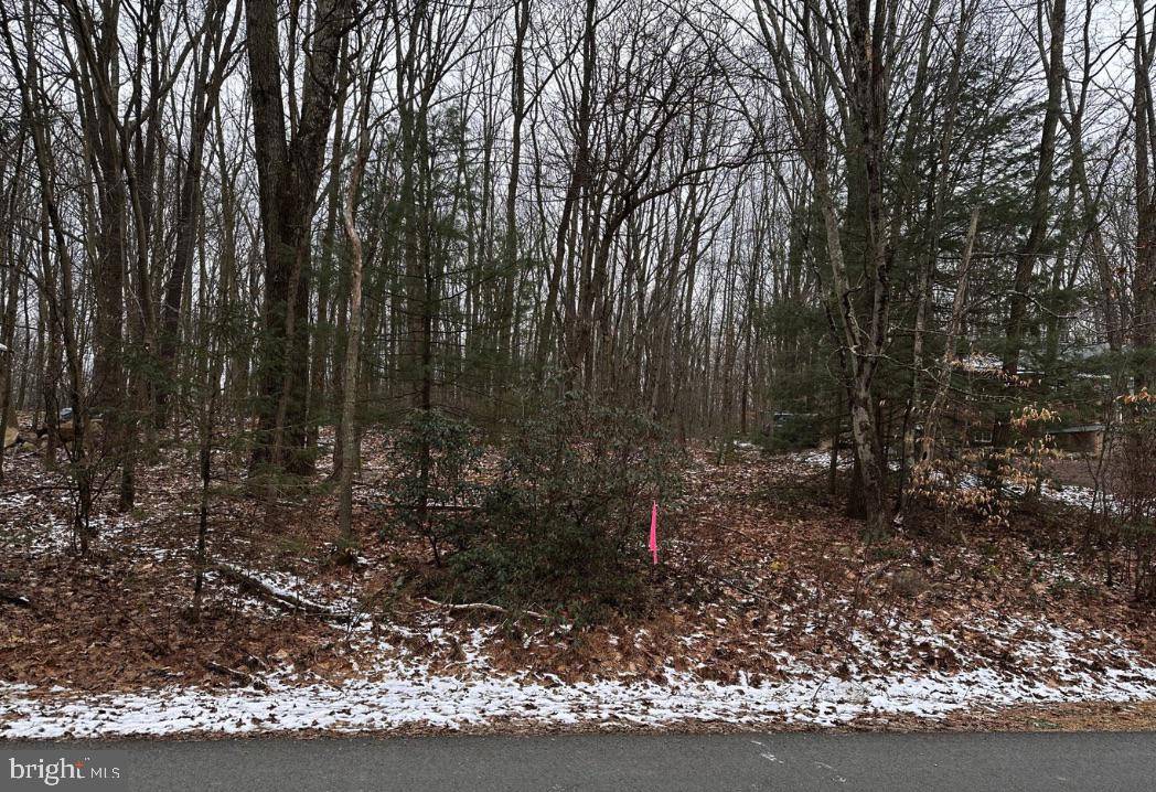 White Haven, PA 18661,LAKE LANE
