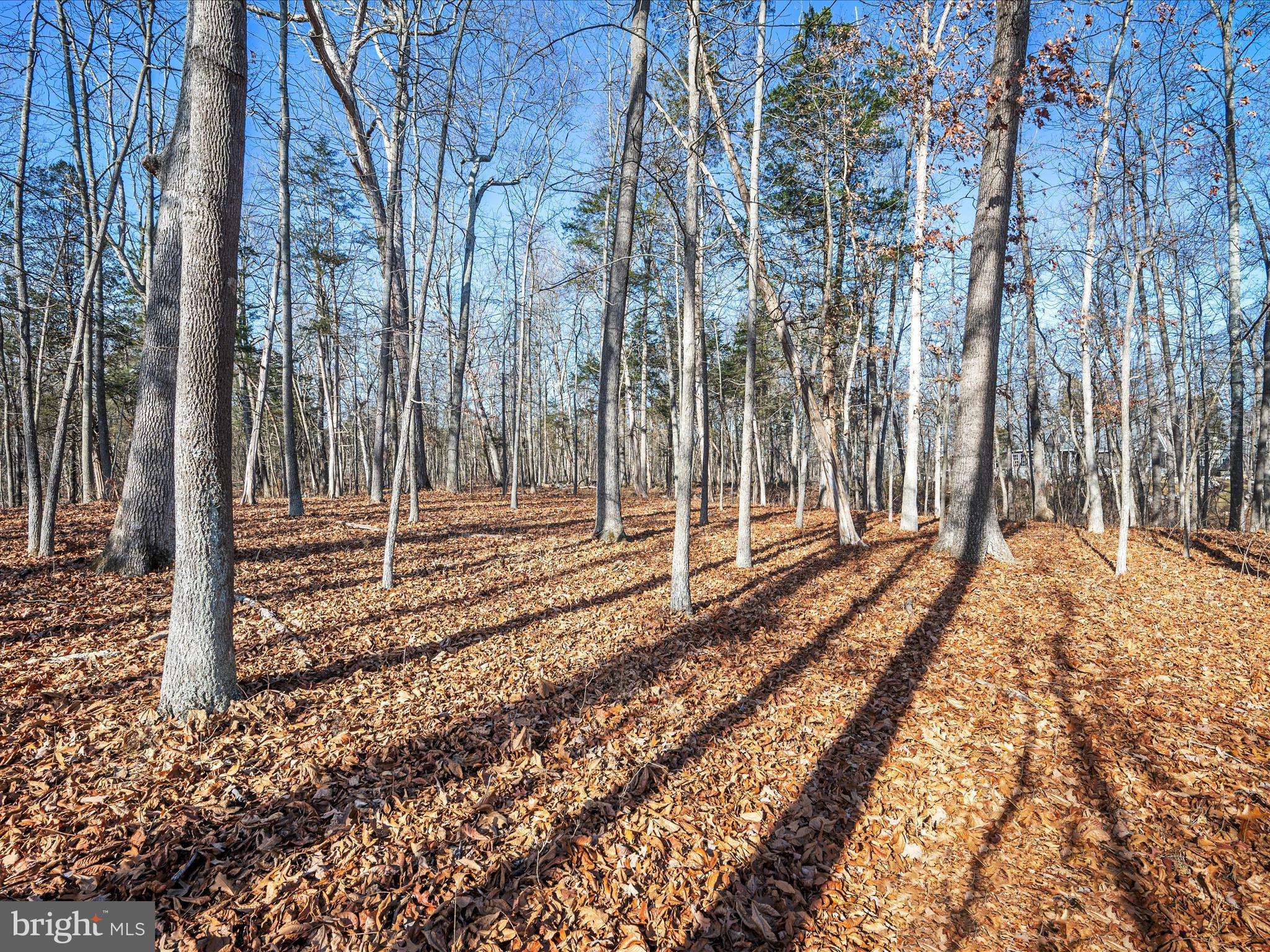 Shepherdstown, WV 25443,LOT 6 SWIFT RIVER WAY