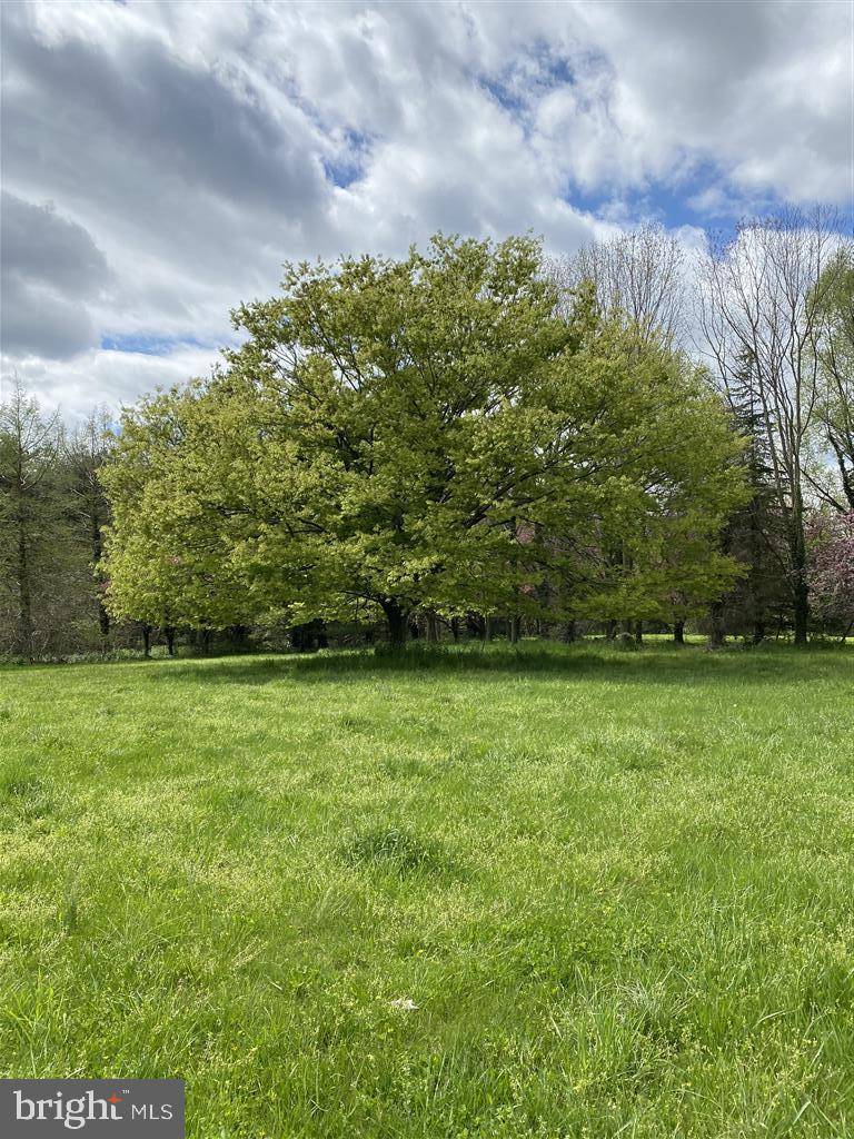 Galena, MD 21635,14075 CRATAEGUS CT