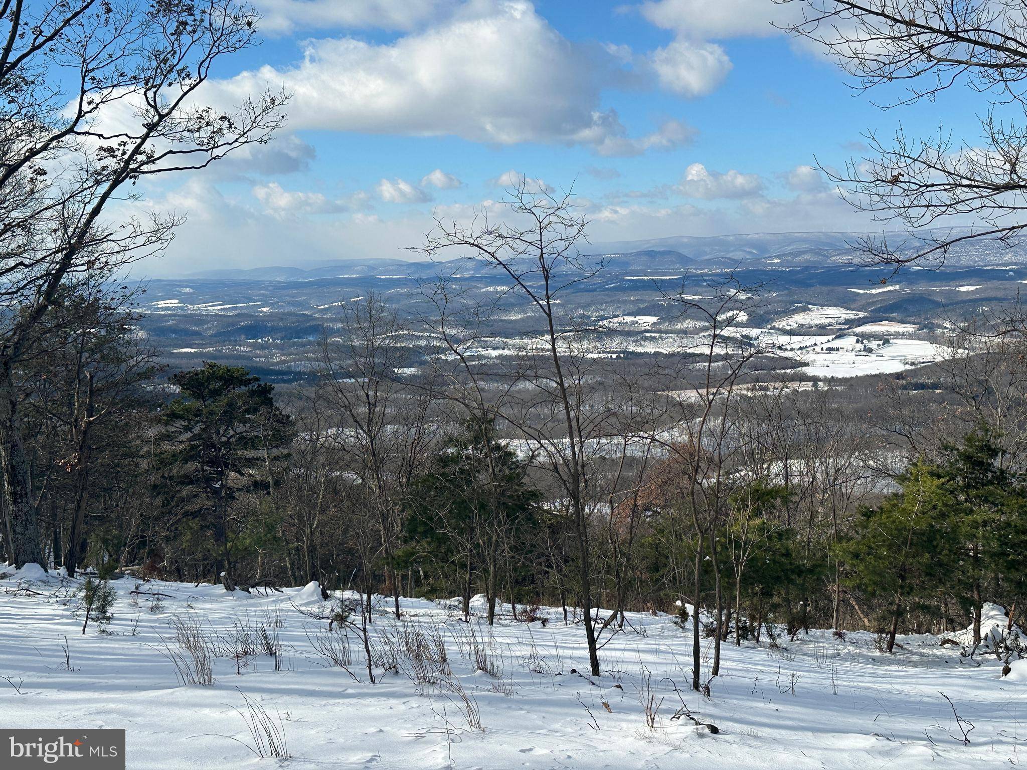 Fort Ashby, WV 26719,204 BLUFFS ON THE POTOMAC