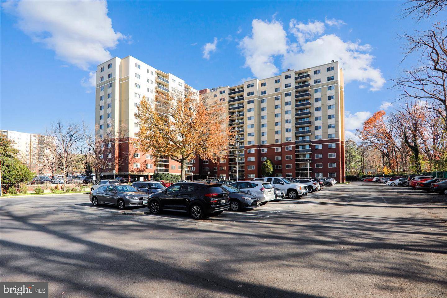 Takoma Park, MD 20912,7333 NEW HAMPSHIRE AVE #817W