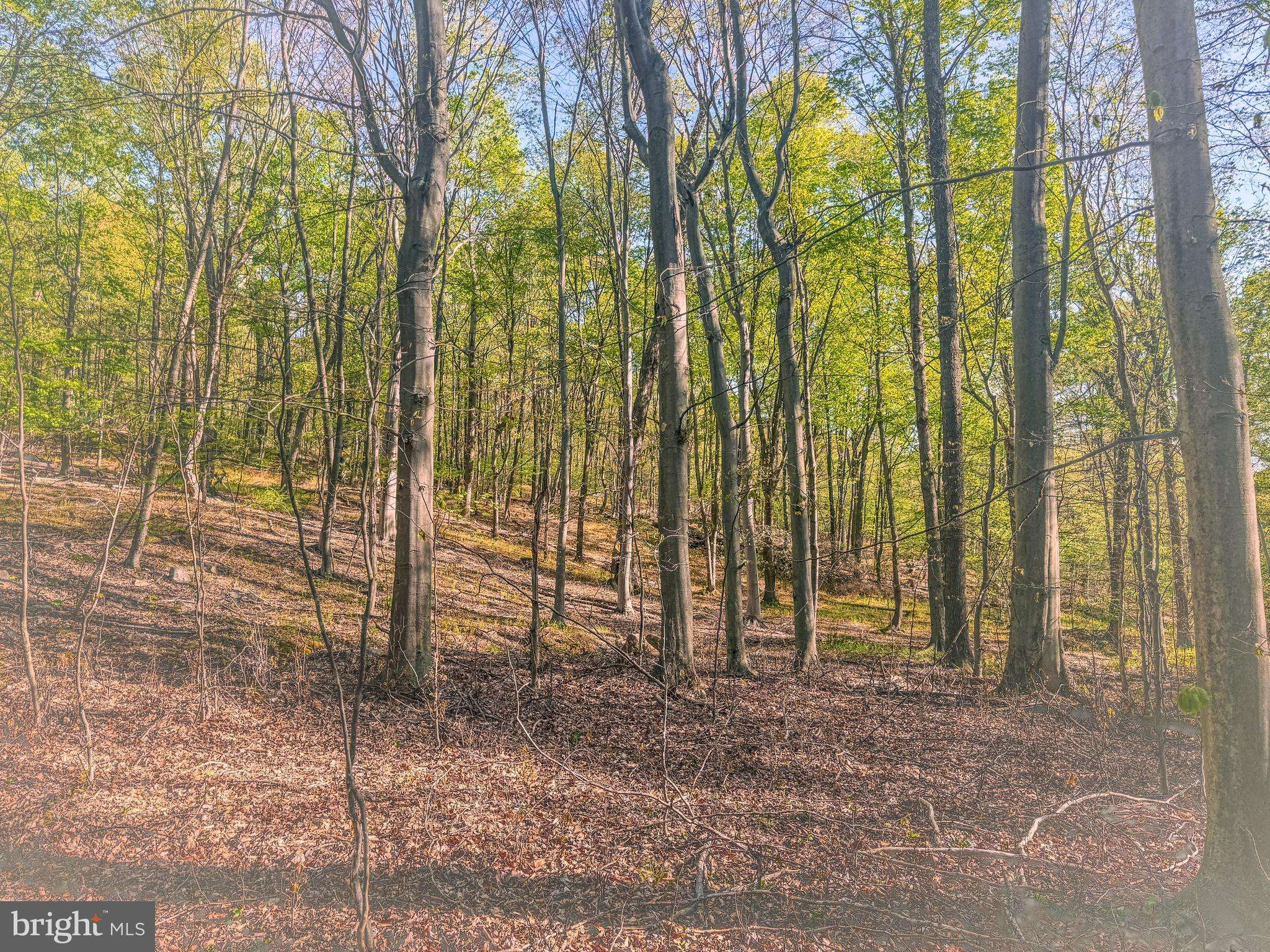 Landisburg, PA 17040,0 CORNMAN LN