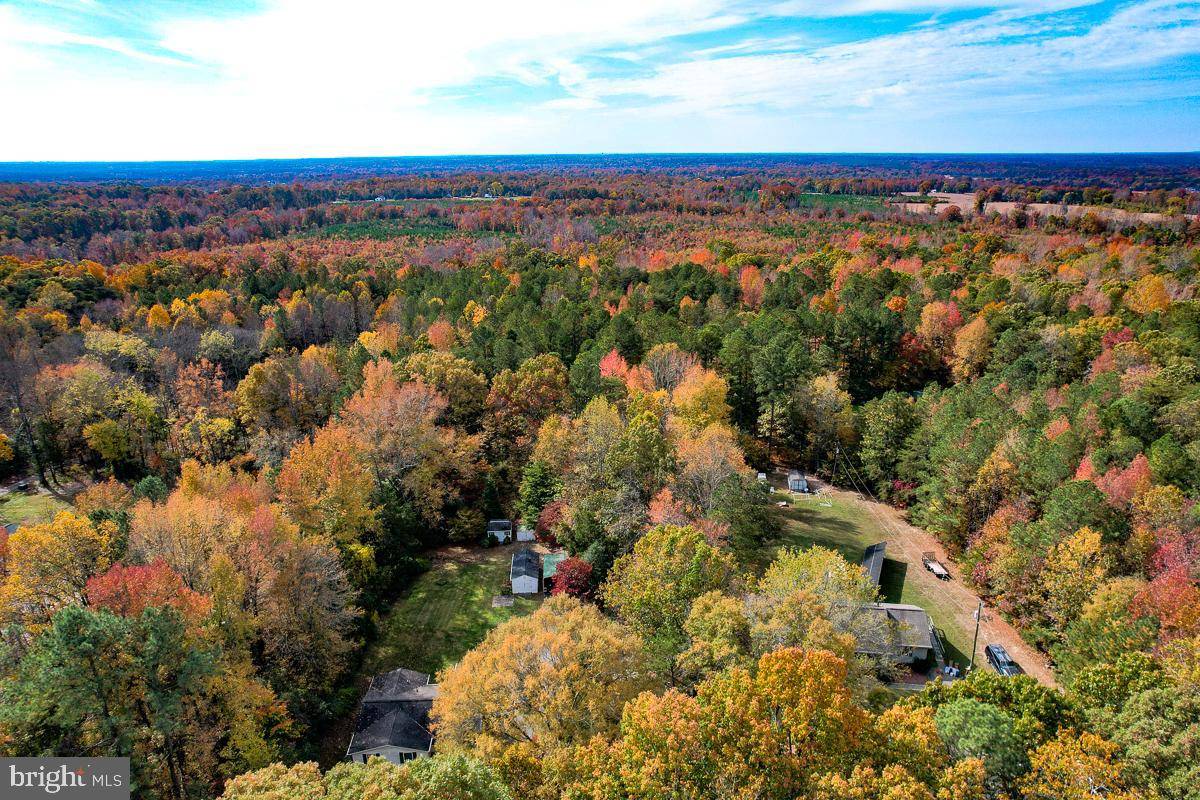 Bowling Green, VA 22427,4.913 ACRES SARAH ST